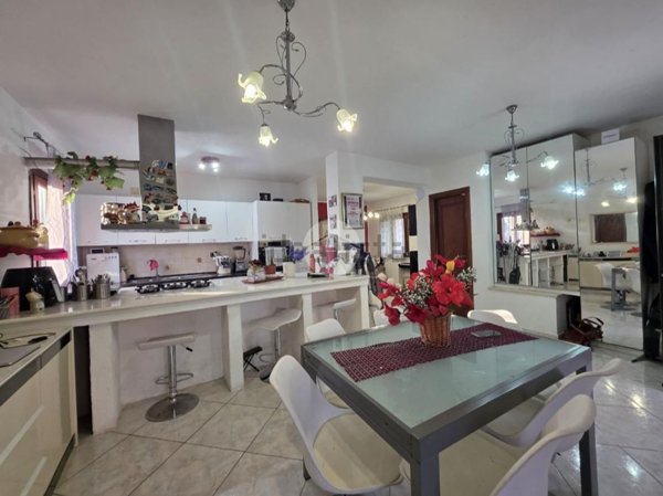 casa indipendente in vendita a San Nicola Arcella