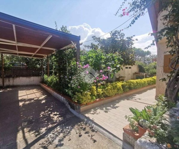 casa indipendente in vendita a San Nicola Arcella