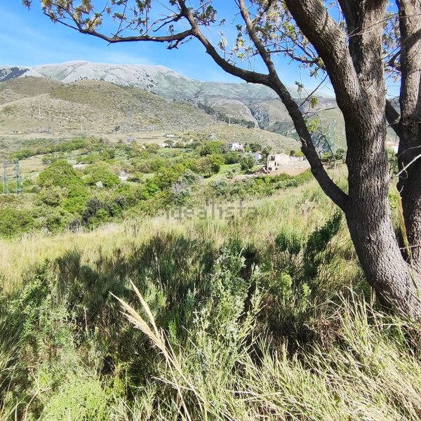 pentavano in vendita a San Nicola Arcella