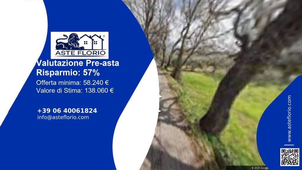 terreno agricolo in vendita a San Nicola Arcella