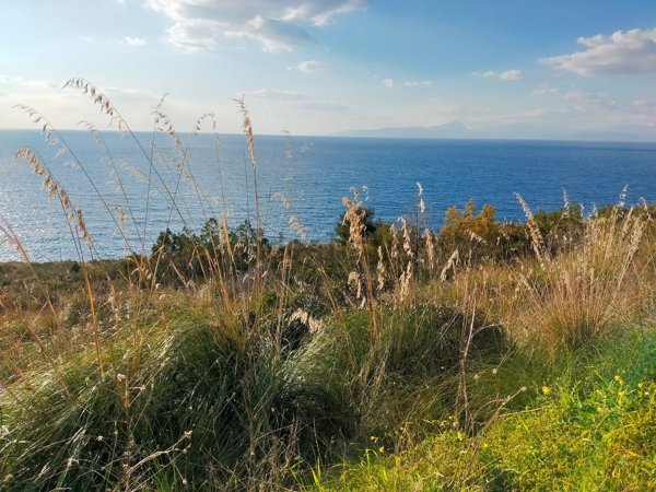 terreno agricolo in vendita a San Nicola Arcella