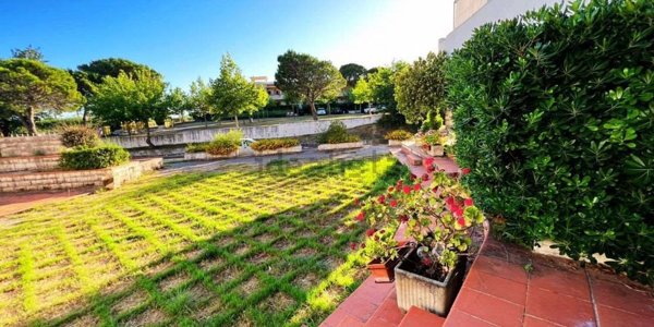 appartamento in vendita a San Nicola Arcella