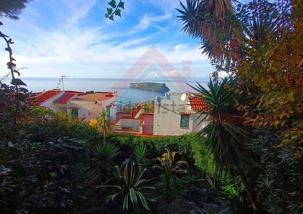 casa indipendente in vendita a San Nicola Arcella