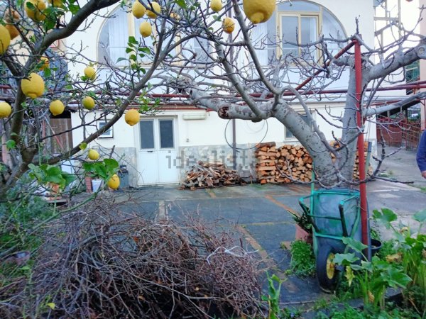 appartamento in vendita a San Nicola Arcella