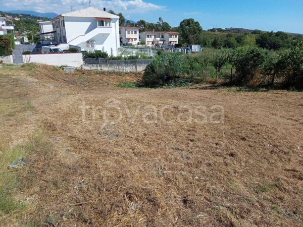 terreno agricolo in vendita a San Nicola Arcella