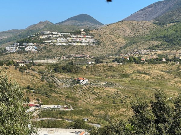 appartamento in vendita a San Nicola Arcella