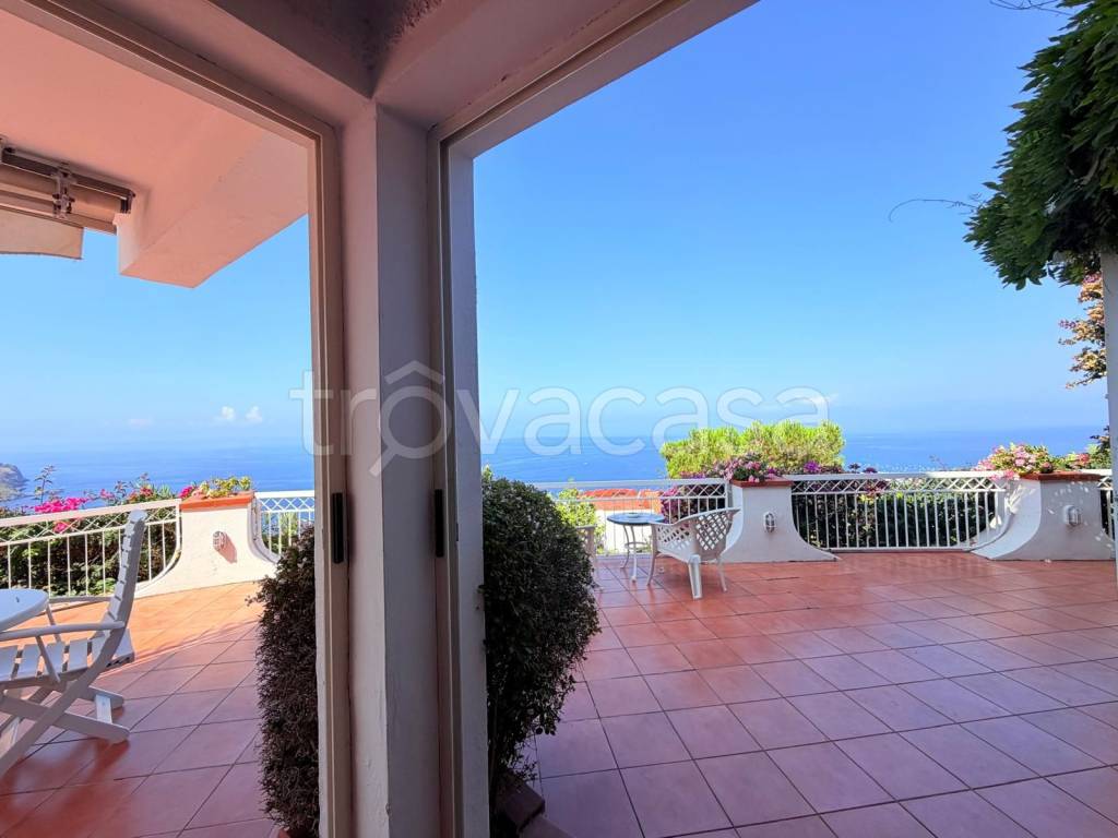 casa indipendente in vendita a San Nicola Arcella