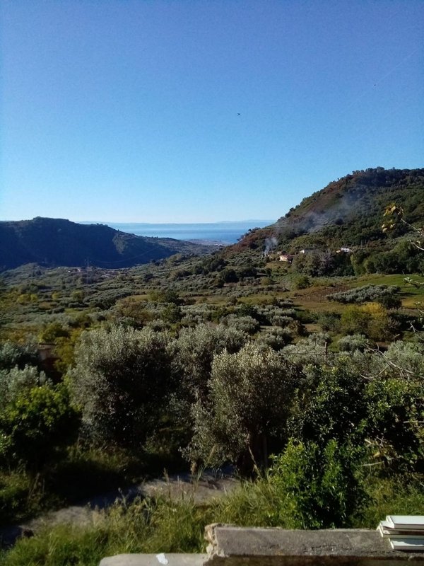 pentavano in vendita a San Pietro in Amantea