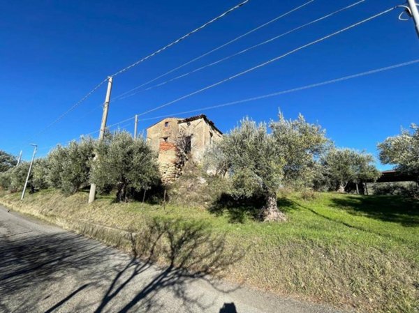 terreno agricolo in vendita a San Pietro in Guarano
