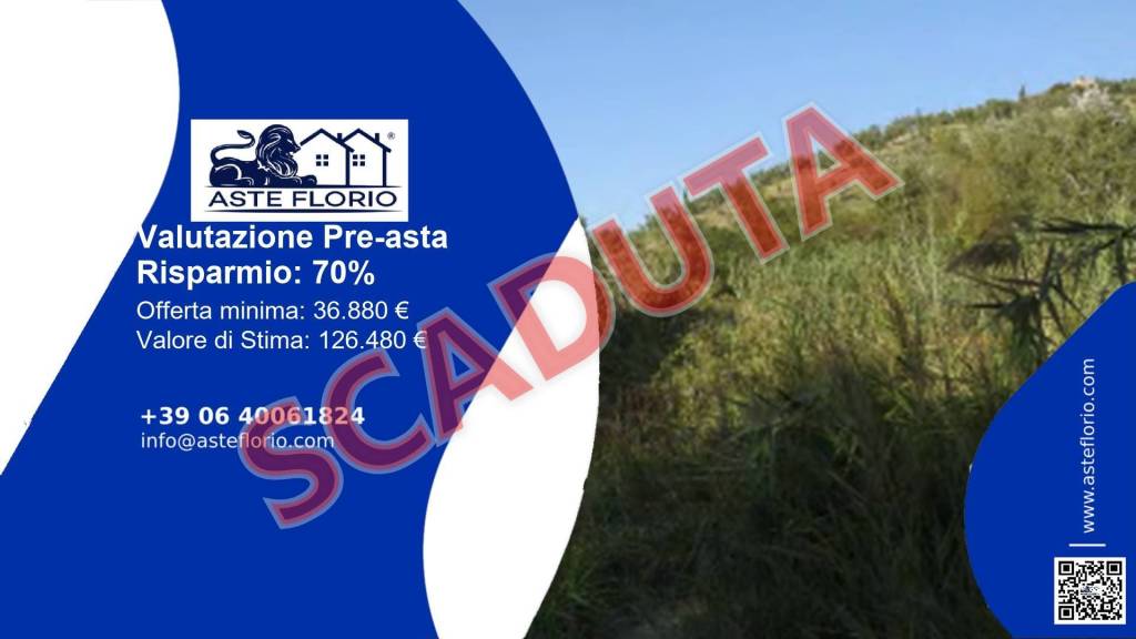 terreno agricolo in vendita a San Pietro in Guarano