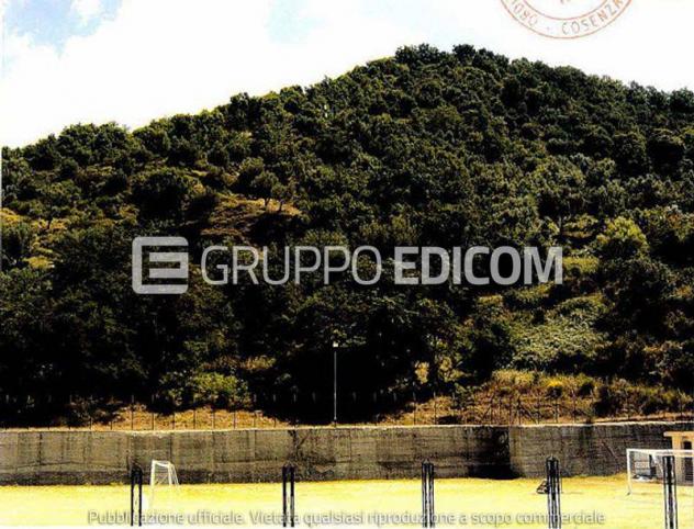 terreno agricolo in vendita a San Pietro in Guarano