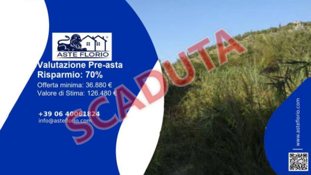 terreno agricolo in vendita a San Pietro in Guarano