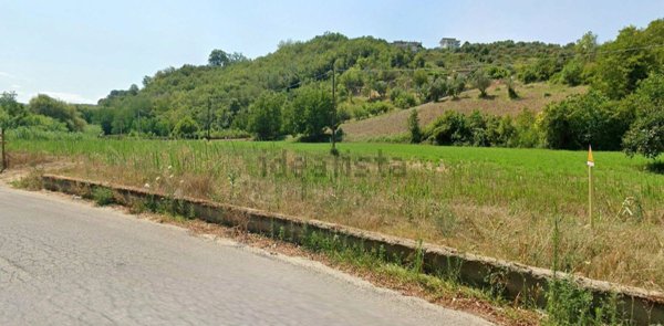 terreno agricolo in vendita a San Pietro in Guarano