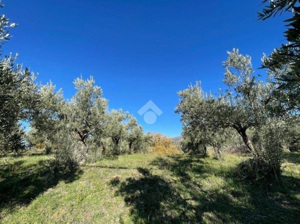 terreno agricolo in vendita a San Pietro in Guarano
