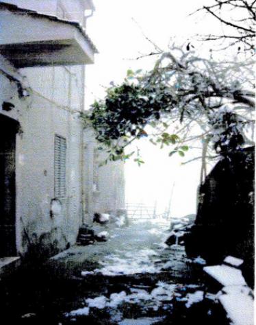 terreno edificabile in vendita a San Pietro in Guarano