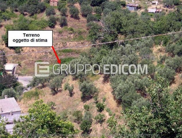 terreno agricolo in vendita a San Pietro in Guarano