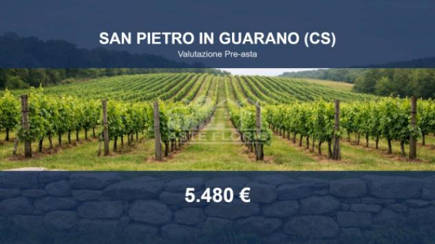 terreno edificabile in vendita a San Pietro in Guarano