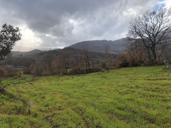 casale in vendita a San Sosti