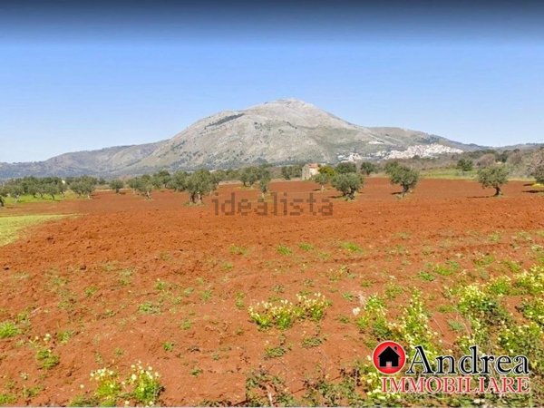 rudere in vendita a Santa Domenica Talao