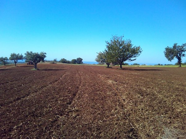 casa indipendente in vendita a Santa Domenica Talao
