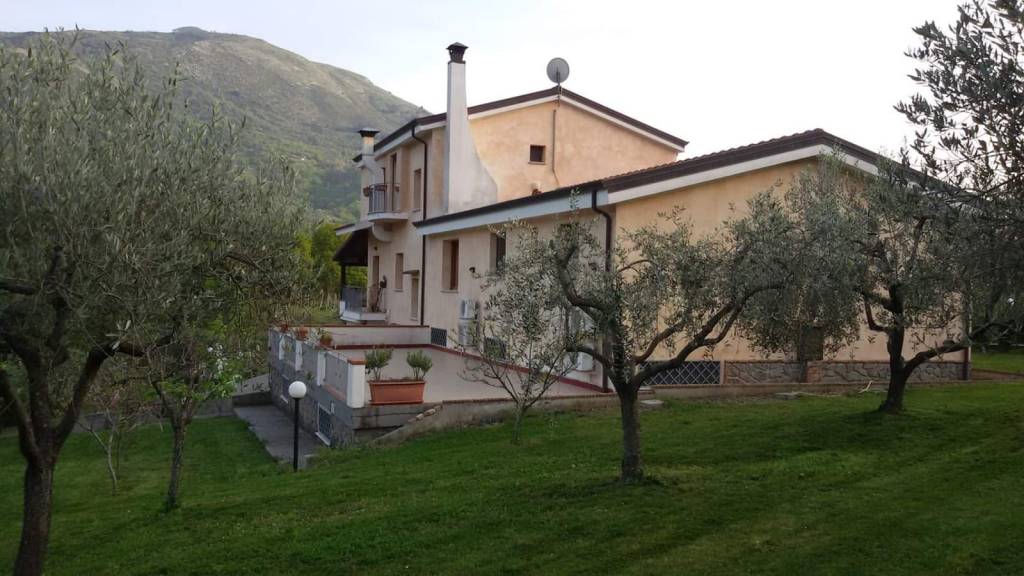 casa indipendente in vendita a Santa Domenica Talao