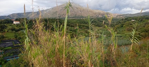 appartamento in vendita a Santa Domenica Talao