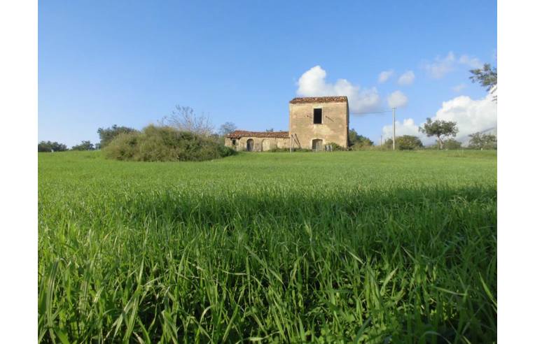 casa indipendente in vendita a Santa Domenica Talao