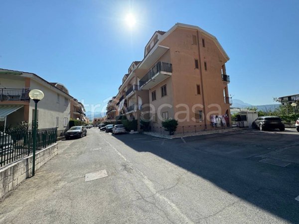 appartamento in vendita a Santa Maria del Cedro