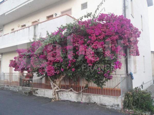 appartamento in vendita a Santa Maria del Cedro