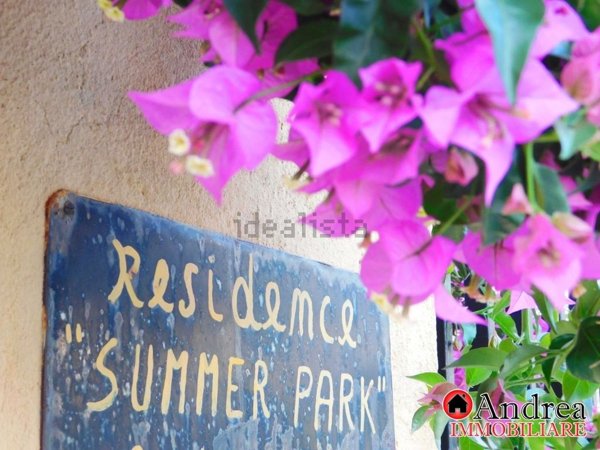 appartamento in vendita a Santa Maria del Cedro