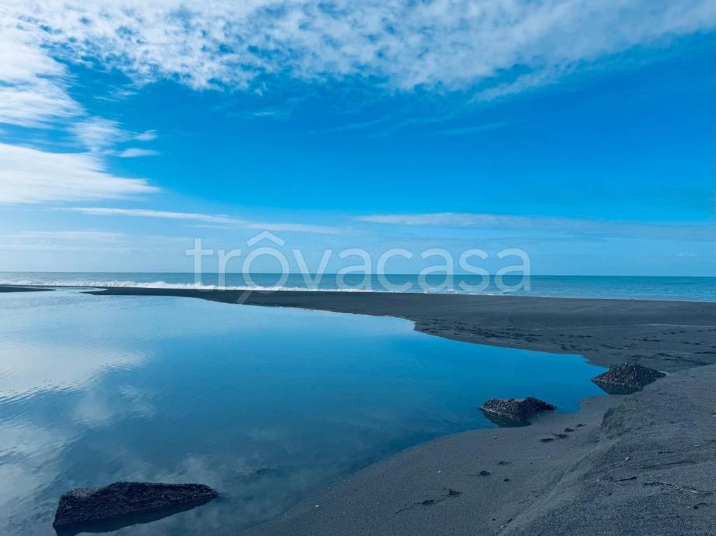 negozio in vendita a Santa Maria del Cedro