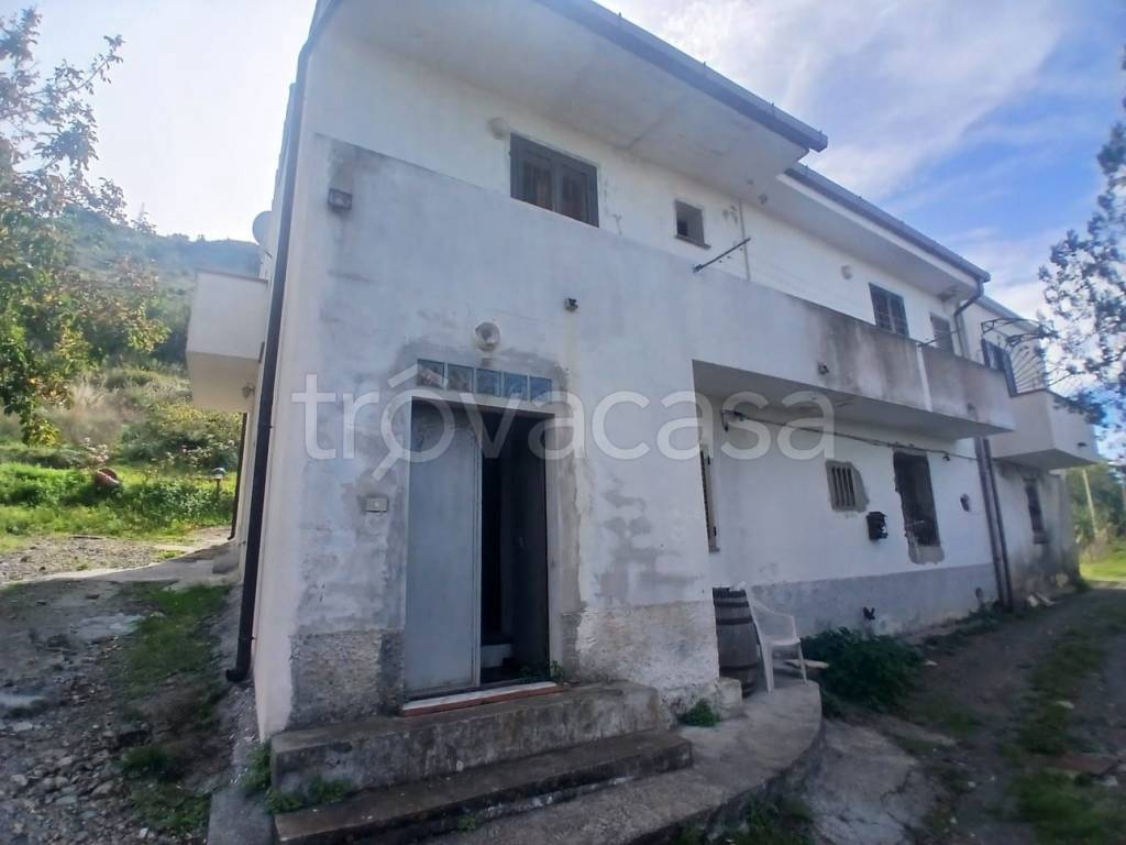 immagine annuncio 0 di 15