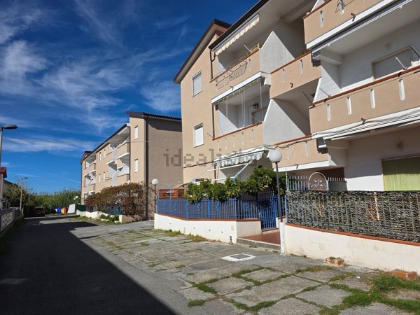 appartamento in vendita a Santa Maria del Cedro