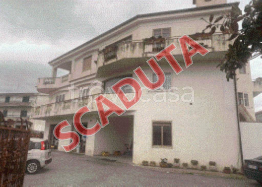 appartamento in vendita a Santa Maria del Cedro