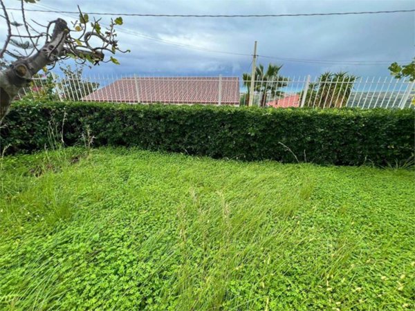 casa indipendente in vendita a Santa Maria del Cedro