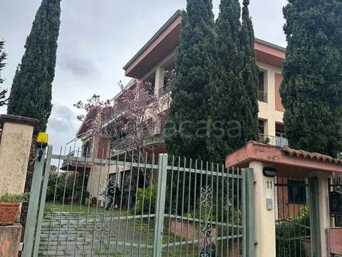 casa indipendente in vendita a Santa Maria del Cedro in zona Marcellina