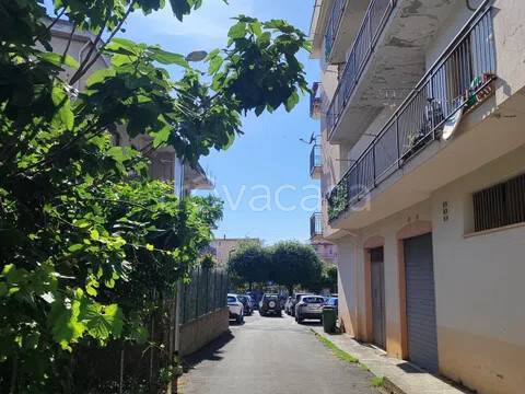 appartamento in vendita a Santa Maria del Cedro in zona Marcellina