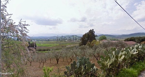 terreno agricolo in vendita a Santa Sofia d'Epiro