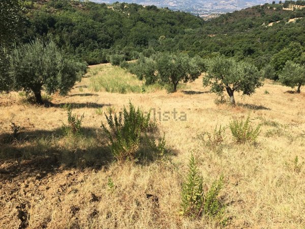 locale di sgombero in vendita a Santa Sofia d'Epiro
