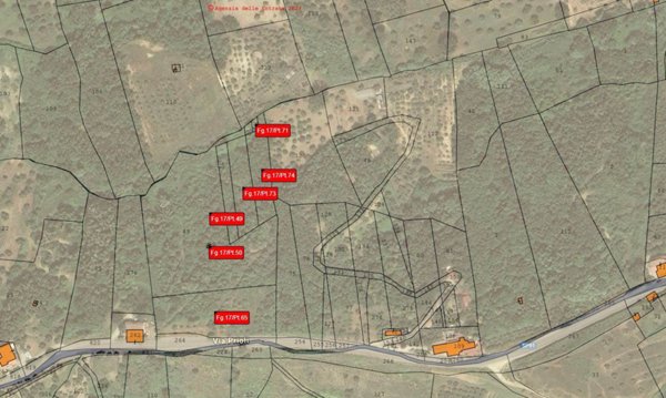 terreno agricolo in vendita a San Vincenzo La Costa