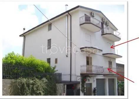 appartamento in vendita a Saracena