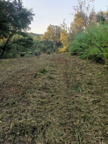 terreno agricolo in vendita a Scalea