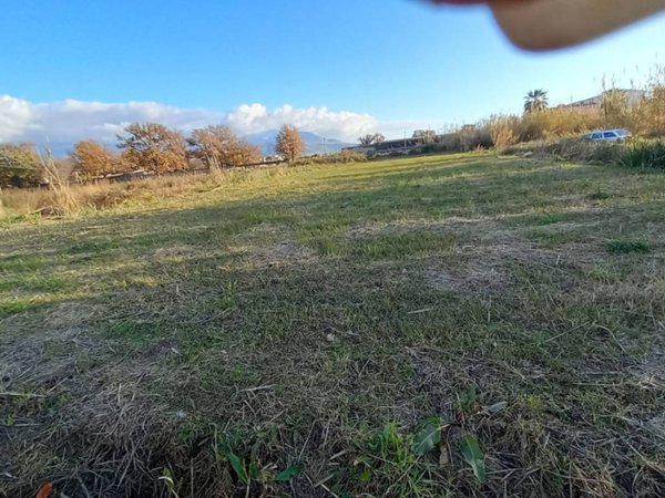 terreno agricolo in vendita a Scalea