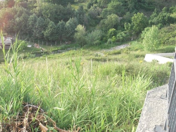 terreno agricolo in vendita a Scalea