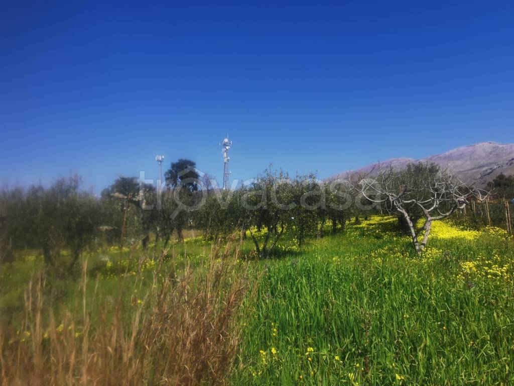 terreno agricolo in vendita a Scalea