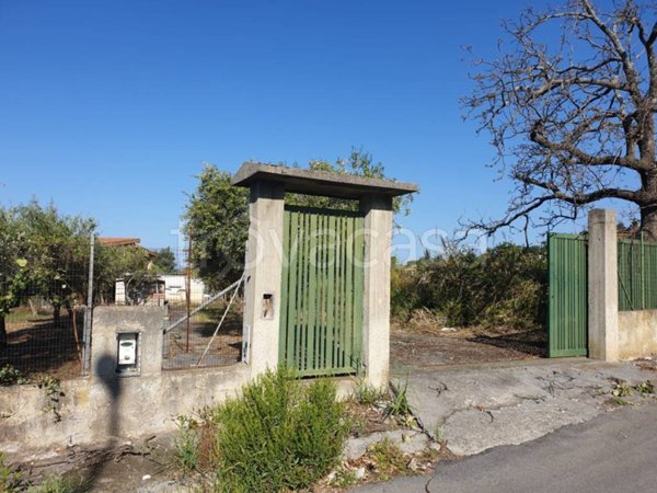 terreno agricolo in vendita a Scalea