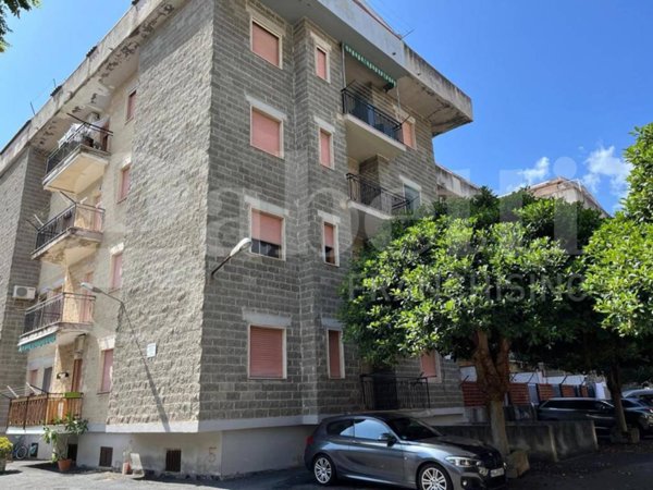 appartamento in vendita a Scalea