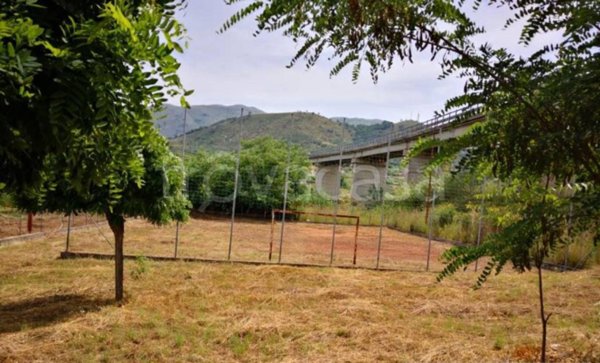 terreno agricolo in vendita a Scalea
