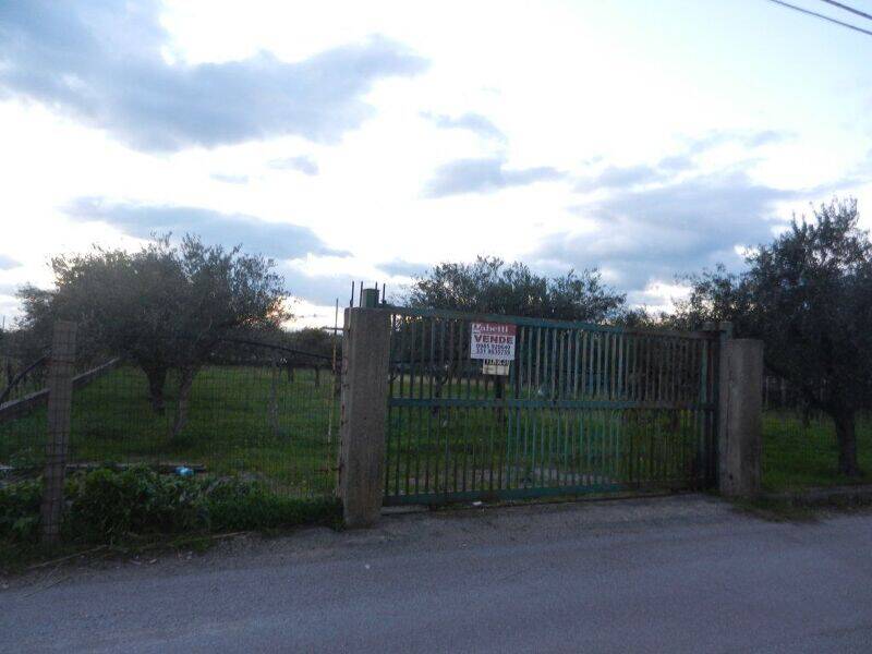 terreno agricolo in vendita a Scalea