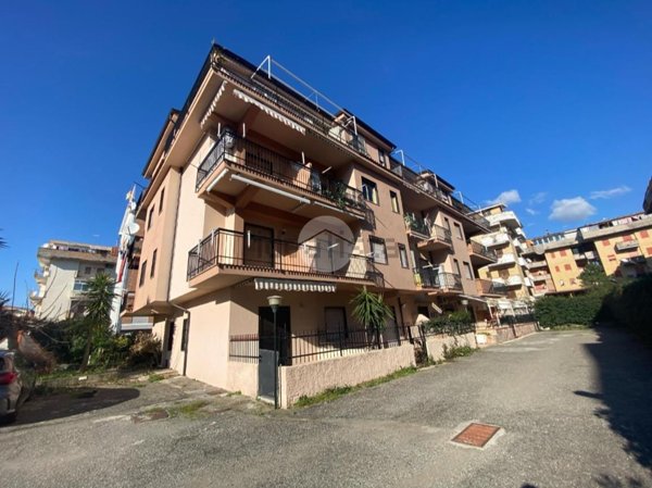 appartamento in vendita a Scalea